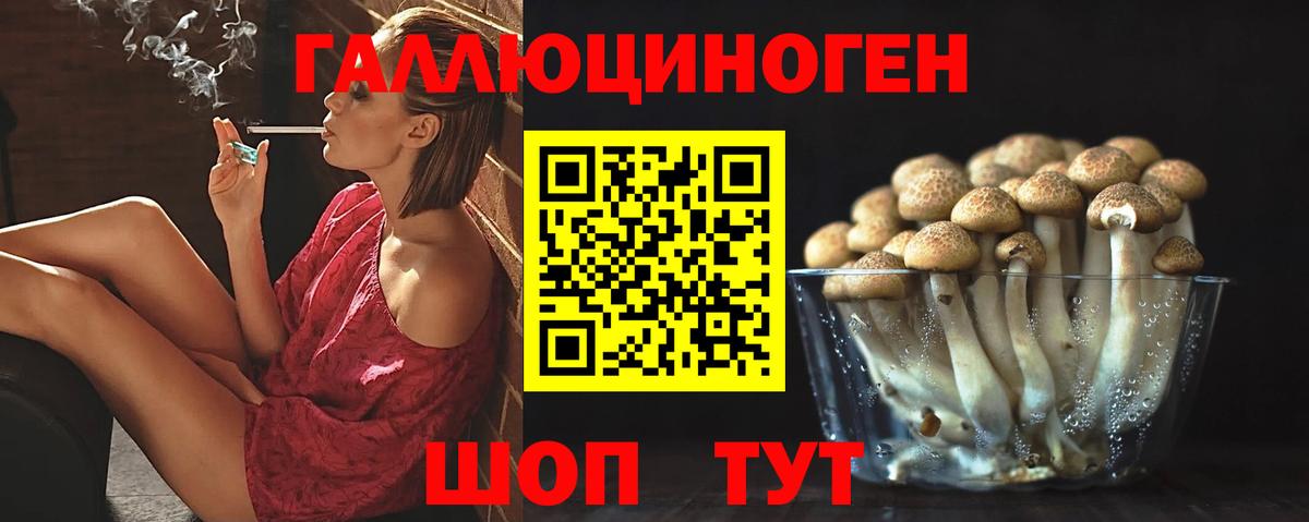 Армавир  Псилоцибиновые грибы Psilocybe  Вход с VPN 